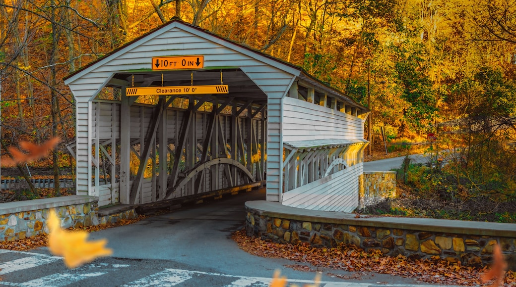 The Knox Covered Bridge at Valley Forge National Parkin Autumn