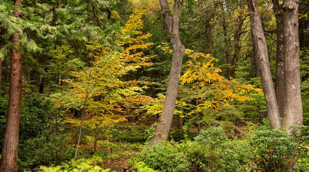 Dunsmuir Botanical Gardens
