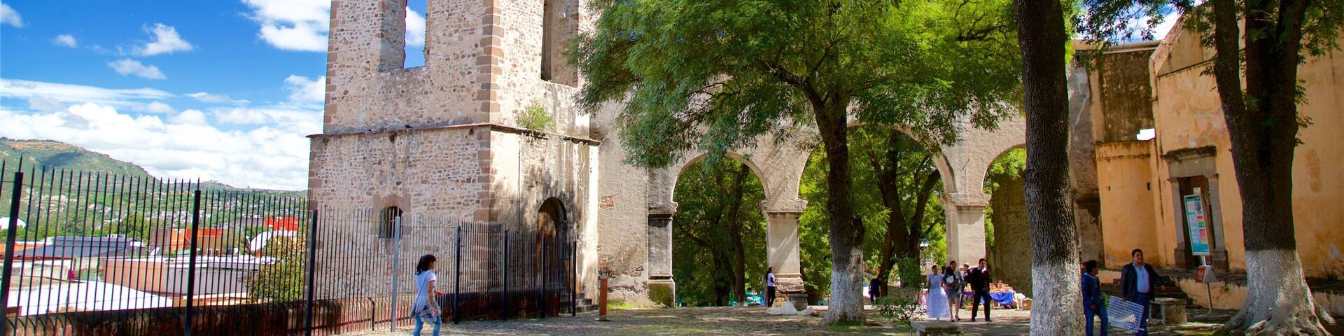 Tlaxcala featuring a garden and heritage elements