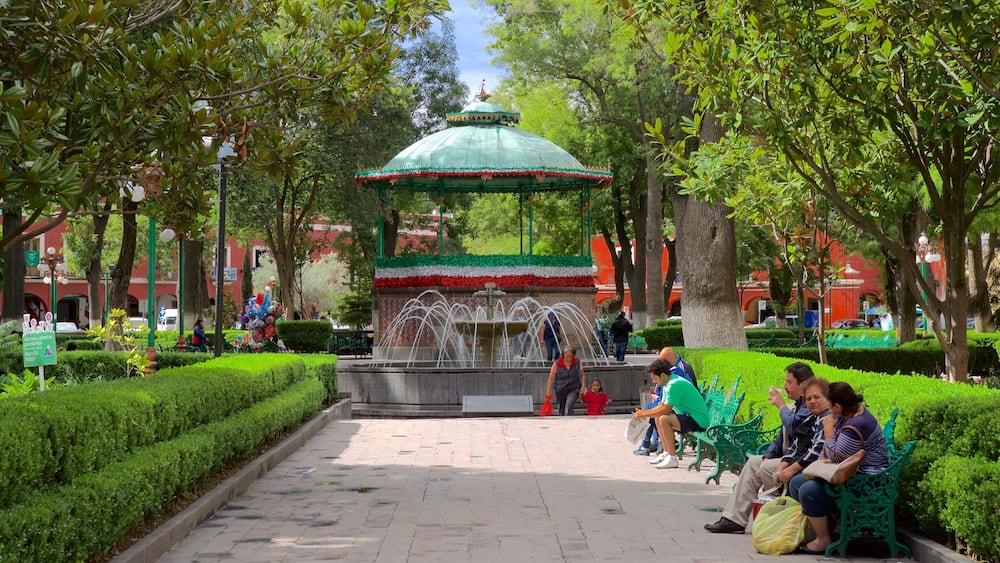 Tlaxcala showing a fountain and a park