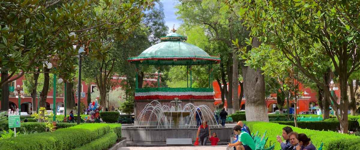 Tlaxcala showing a garden and a fountain