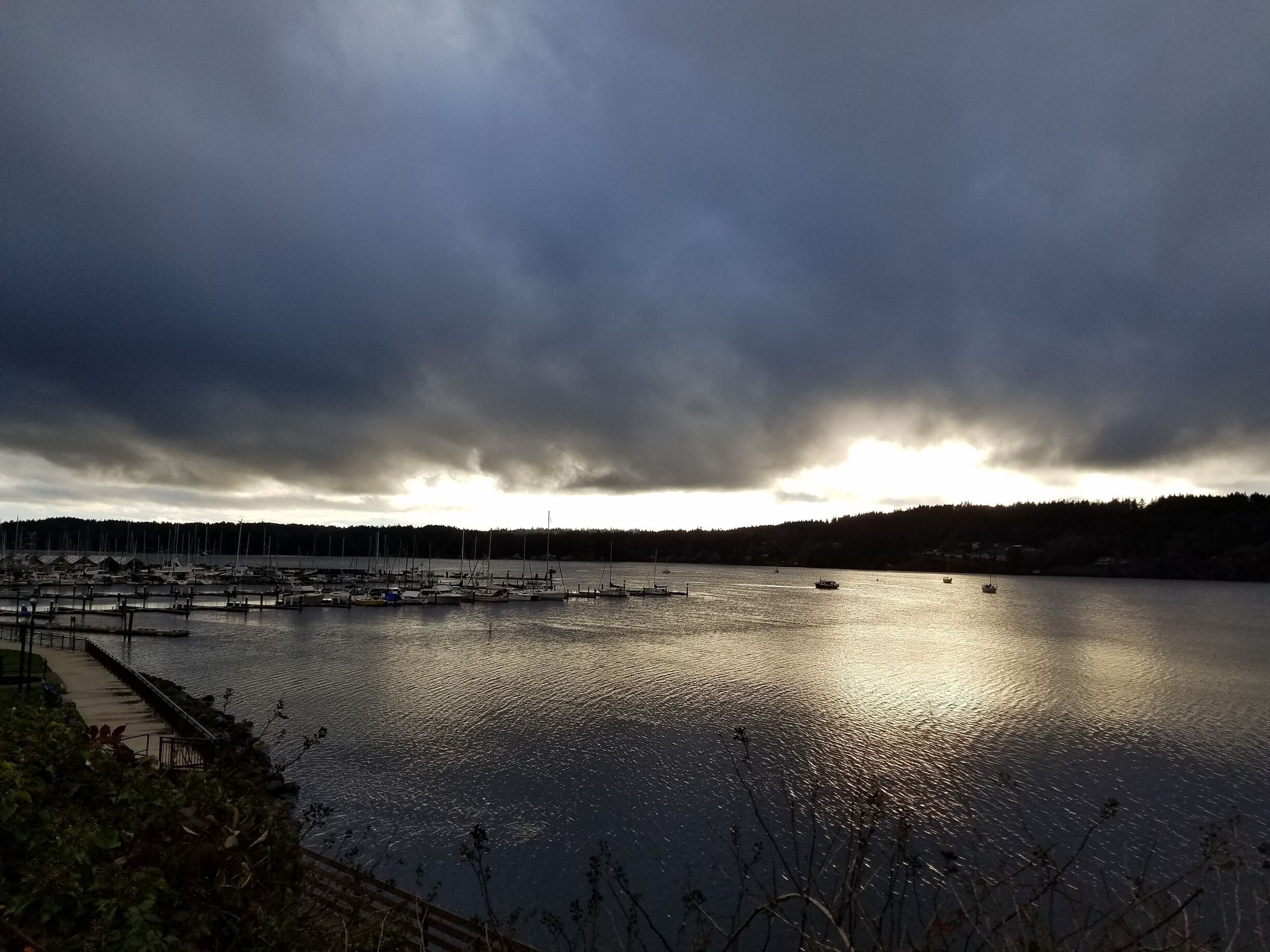 Right before the rain.