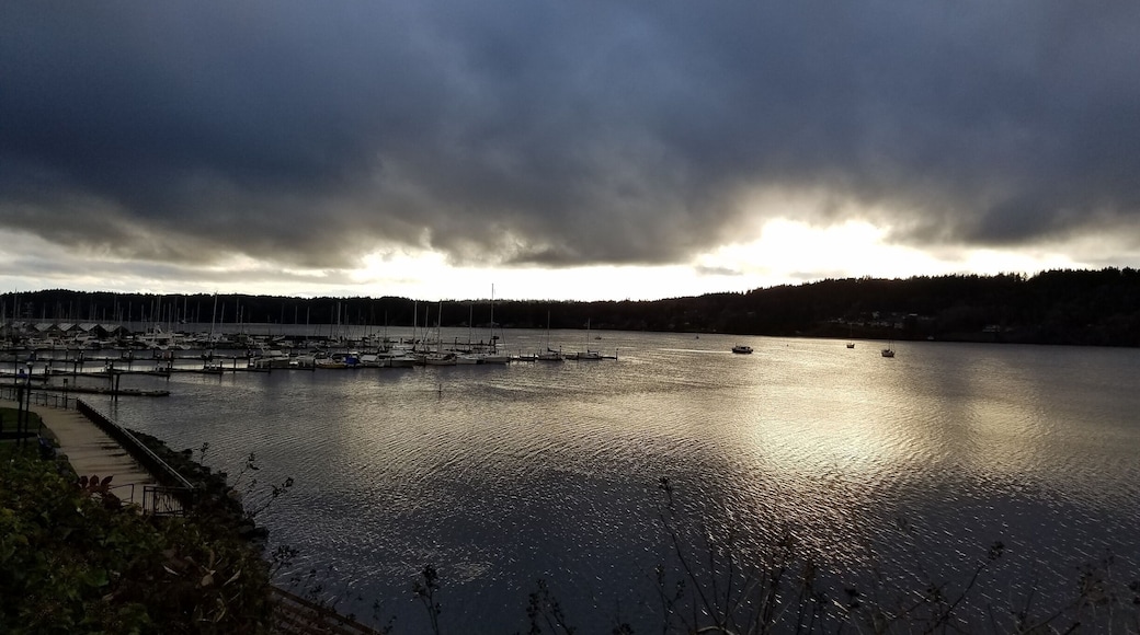 Right before the rain.