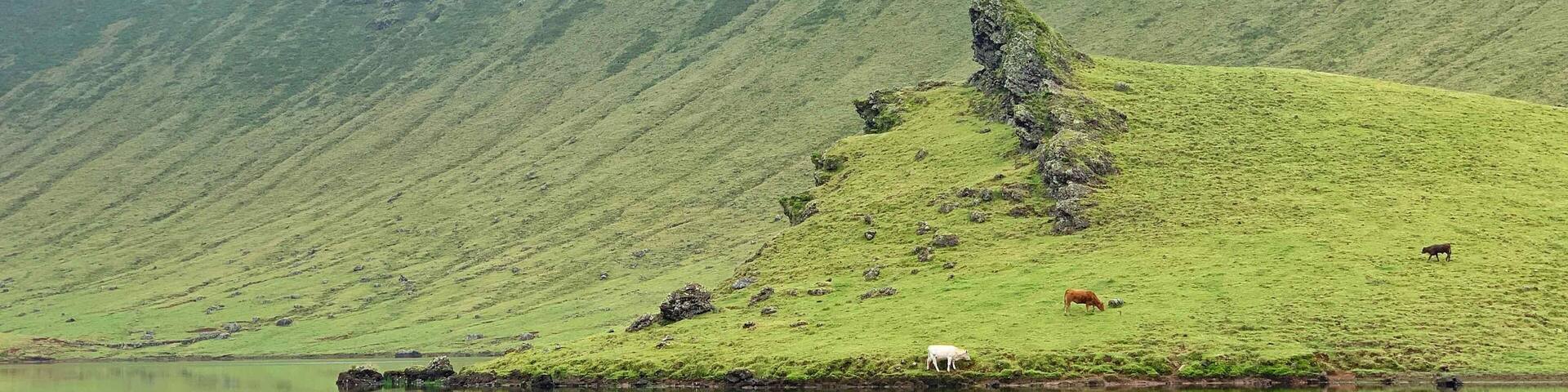 Visiting Corvo, the tiniest and most remote island to Azores, was one of my best travel experiences.
Only 400-ish people live in this island. You can learn a lot from a small community that has faced corsaries, pirates, Atlantic storms, and isolation and has thrived throughout centuries, against all odds.
This is the crater of the volcano that gave origin to the island. The silence here is only disturbed by cows, birds, horses, and hikers.
More about Corvo Island: https://www.geekyexplorer.com/corvo-azores
#Azores #Portugal #Nature #Lake #Volcano #Island