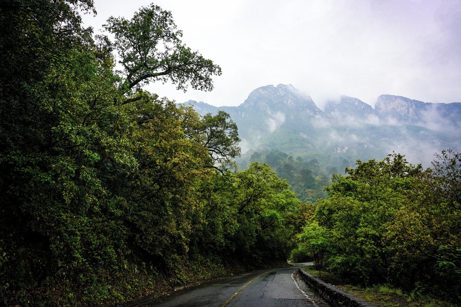Nearby the concrete full city of Monterrey in northern Mexico there's a great route to discover in the Chipinque mountain. Once you start climbing up the big city lags behind and one can enjoy fresh air as wild animals cross your path #ontheroad.