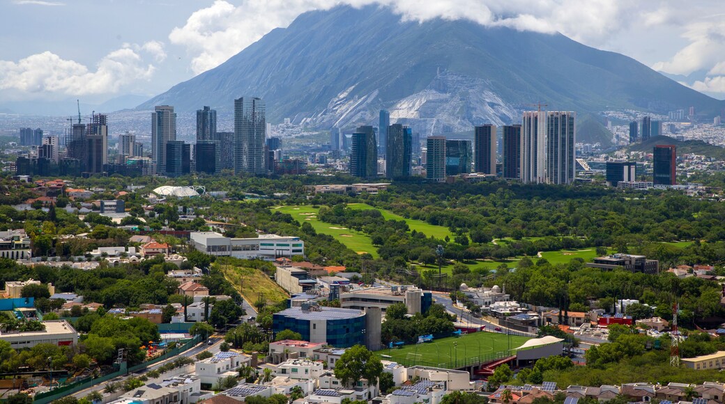 San Pedro Garza Garcia, Nuevo Leon, Mexico, (Monterrey)