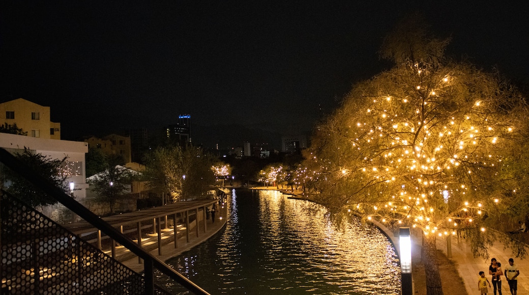 San Pedro Garza García