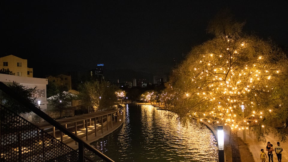 A river at night with illuminated trees and a bridge.