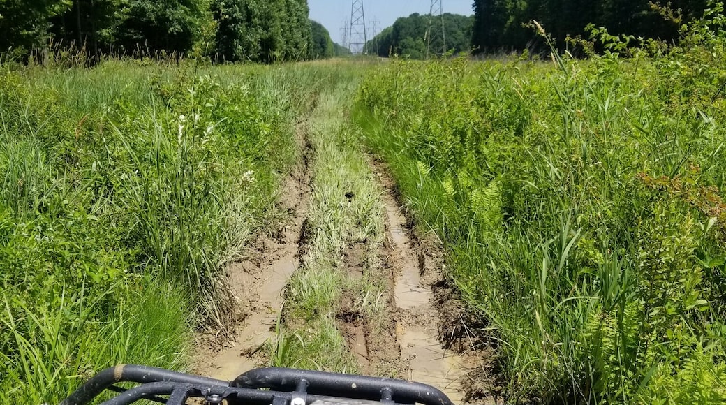 Four wheeling on private property near the Hell Hollow Wilderness Area. Northeast Ohio has tons of outdoor activities to offer!