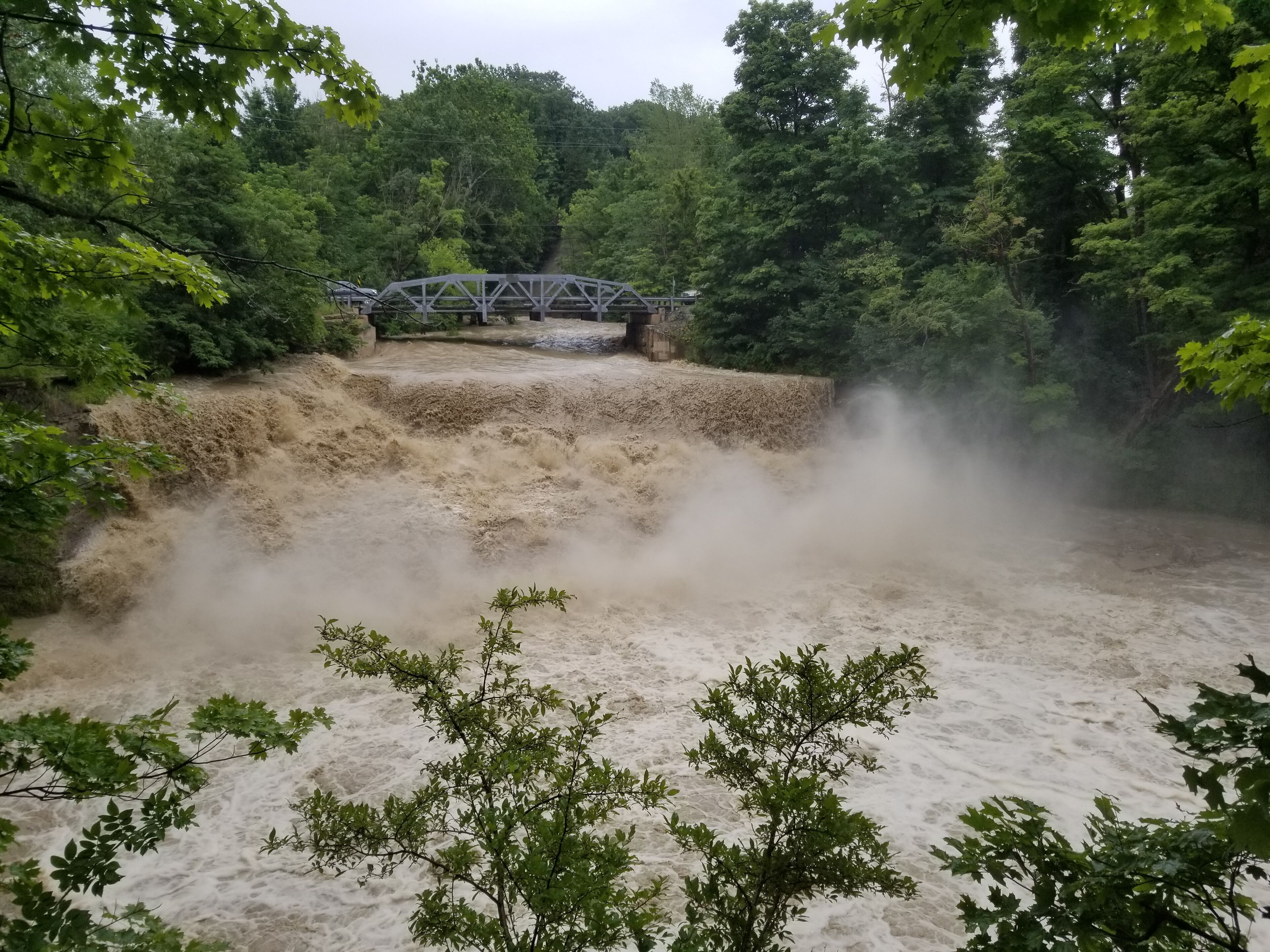 One of my favorite waterfalls in the area! Short path down some stairs to an overlook. This was after heavy rains but it's beautiful in any weather!