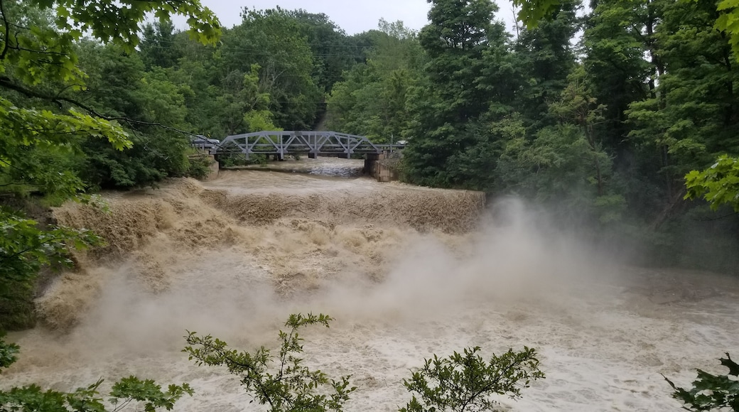 One of my favorite waterfalls in the area! Short path down some stairs to an overlook. This was after heavy rains but it's beautiful in any weather!