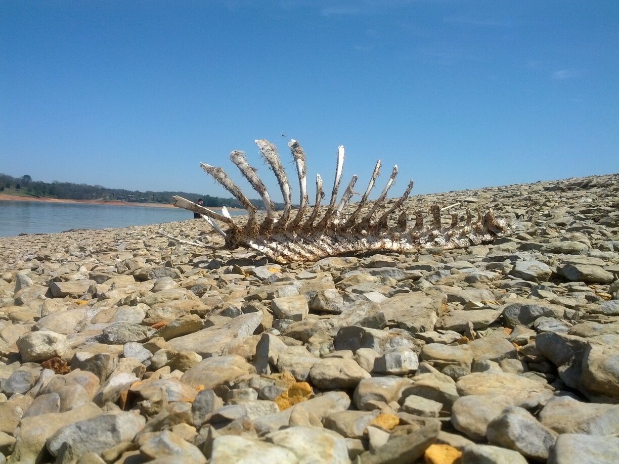 If you like rock hunting, this place is great. Lots of "Douglas Diamonds" and even a few arrowheads. 