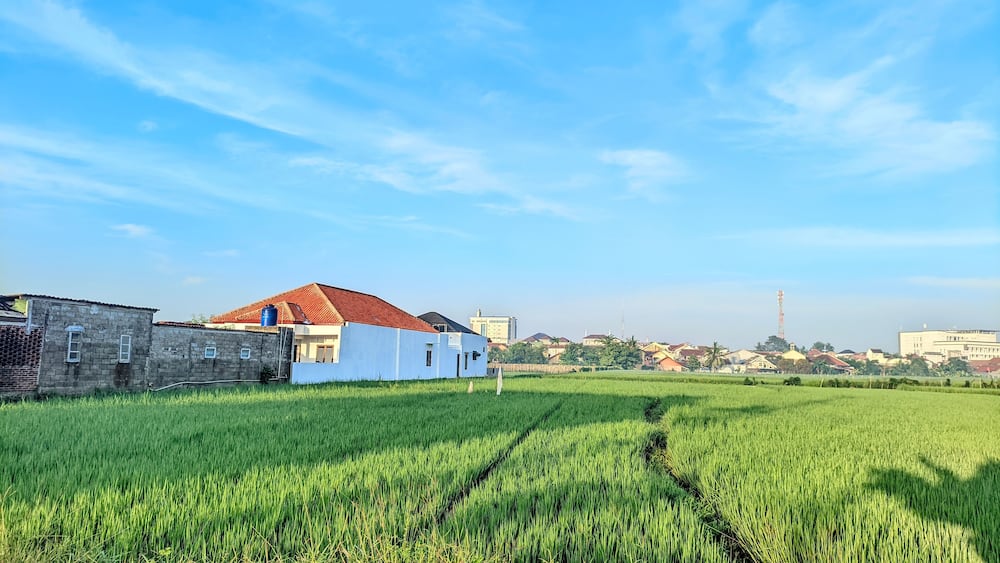 view of building ceilings and rice fields, precisely in Purwokerto, Indonesia