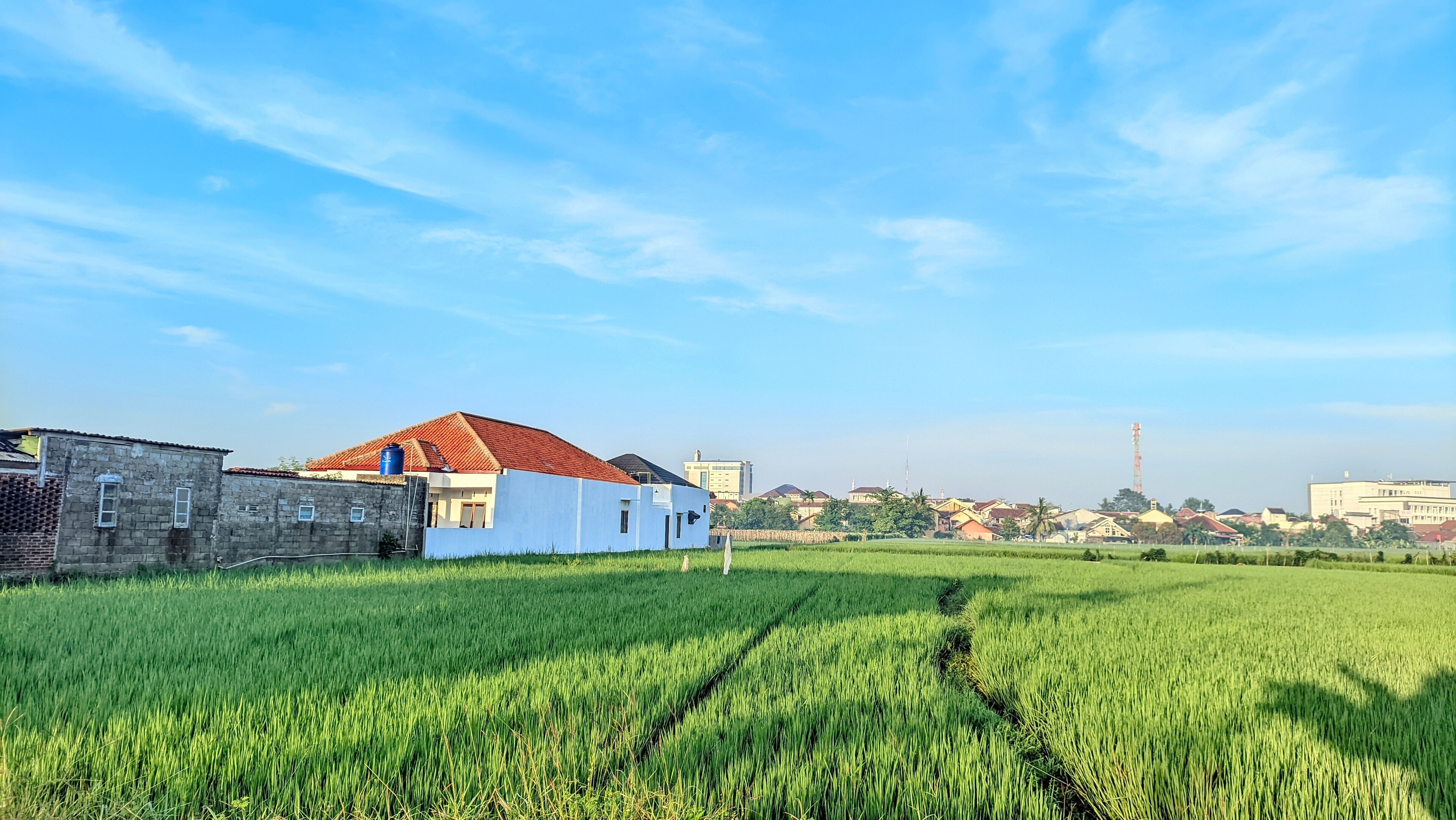 A rural landscape with a green field, a white building with a red roof, and a distant city skyline.