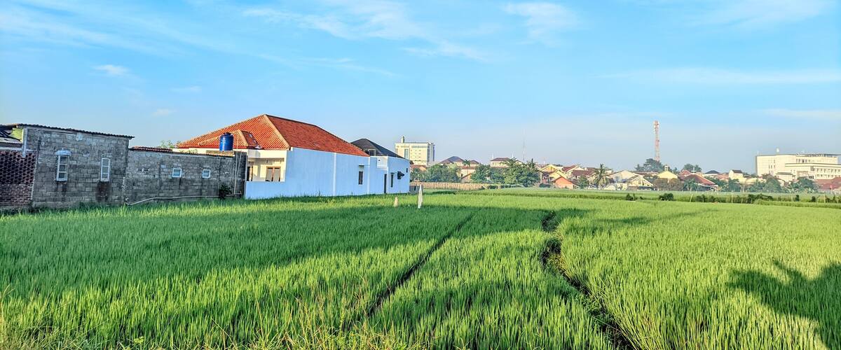 A rural landscape with a green field, a white building with a red roof, and a distant city skyline.