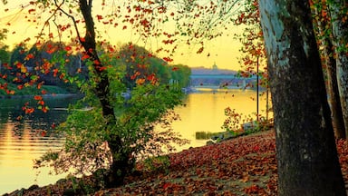 Kanawha River, Charleston WV in the fall. Shot in Daniel Boone Park.
