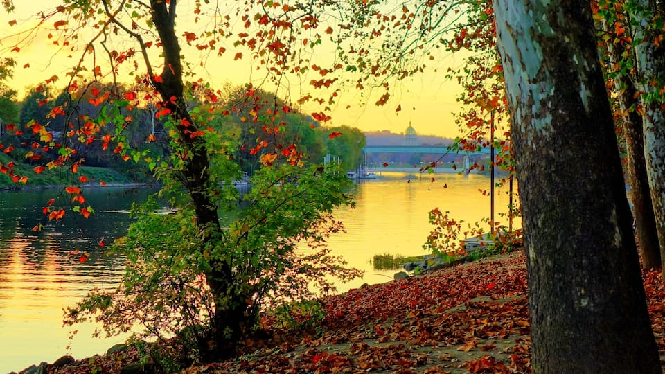 A serene lakeside scene with autumn foliage, a tree-lined path, and a distant view of a bridge and Capitol building.