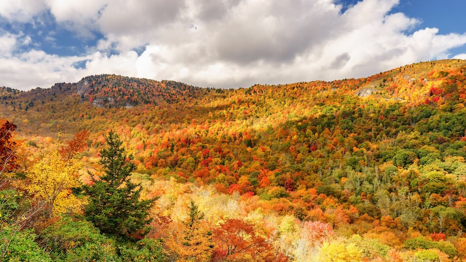 A mountainous landscape with autumn foliage.