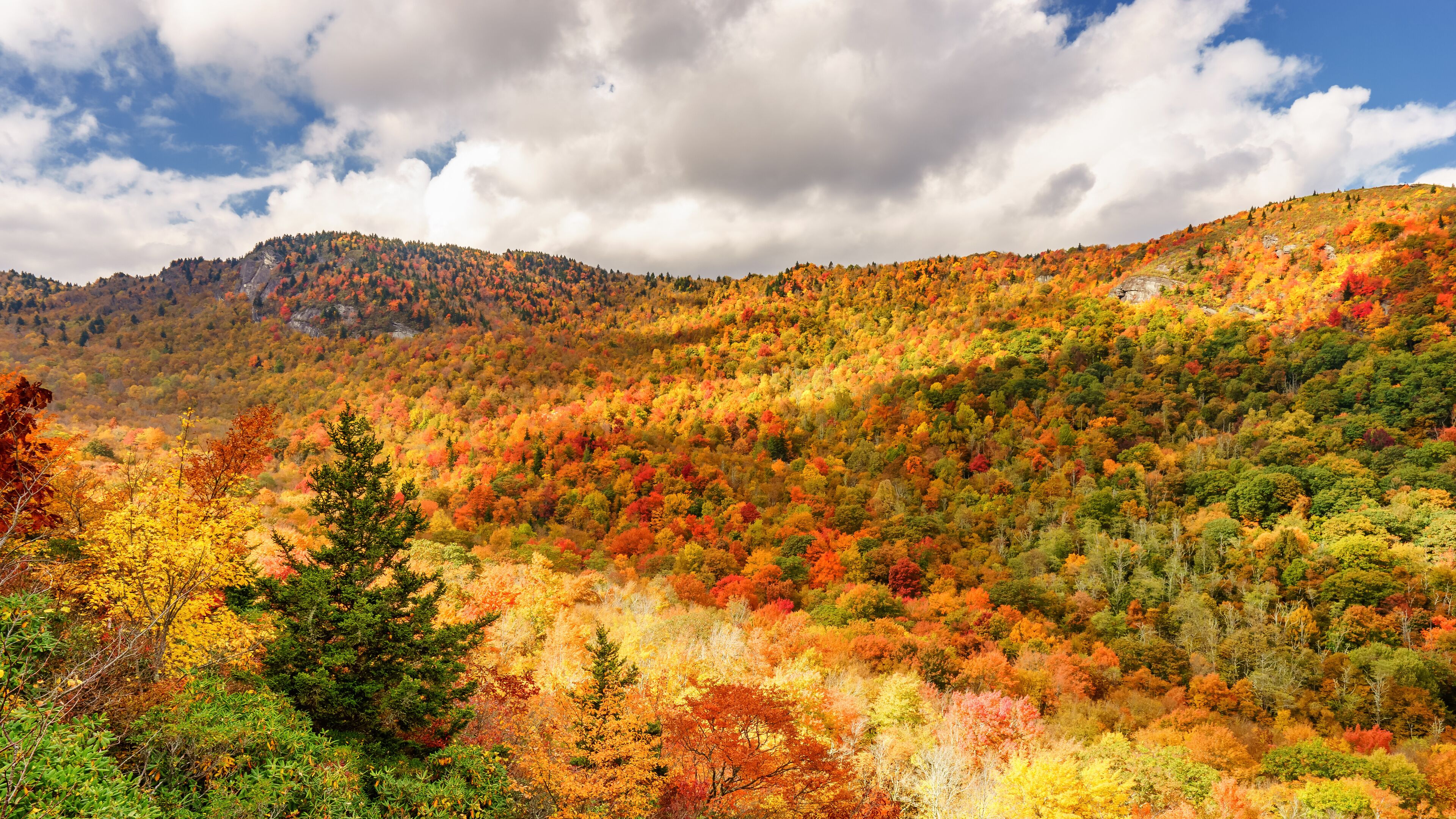 A mountainous landscape with autumn foliage.