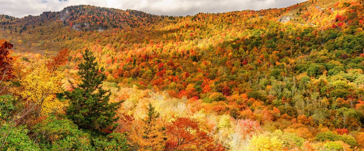 A mountainous landscape with autumn foliage.