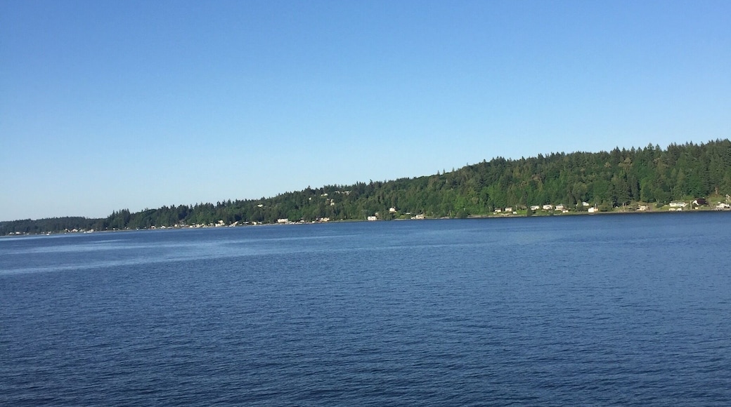 On the ferry from Bremerton to Seattle!