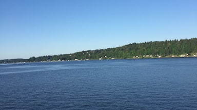On the ferry from Bremerton to Seattle!