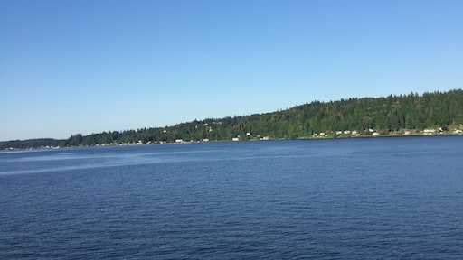 On the ferry from Bremerton to Seattle!
