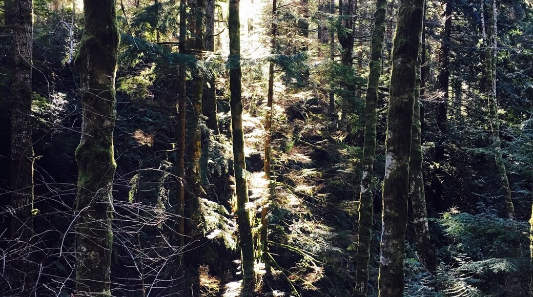 Always a beautiful walk here.