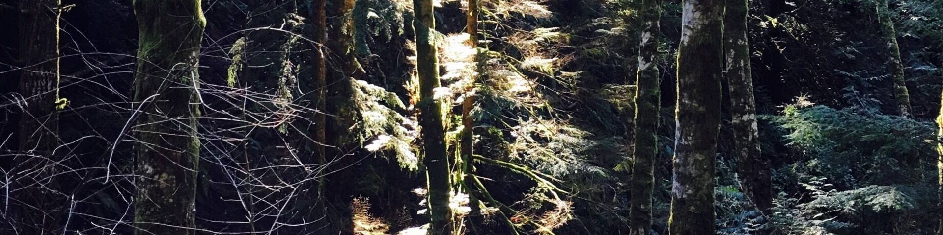 Always a beautiful walk here.