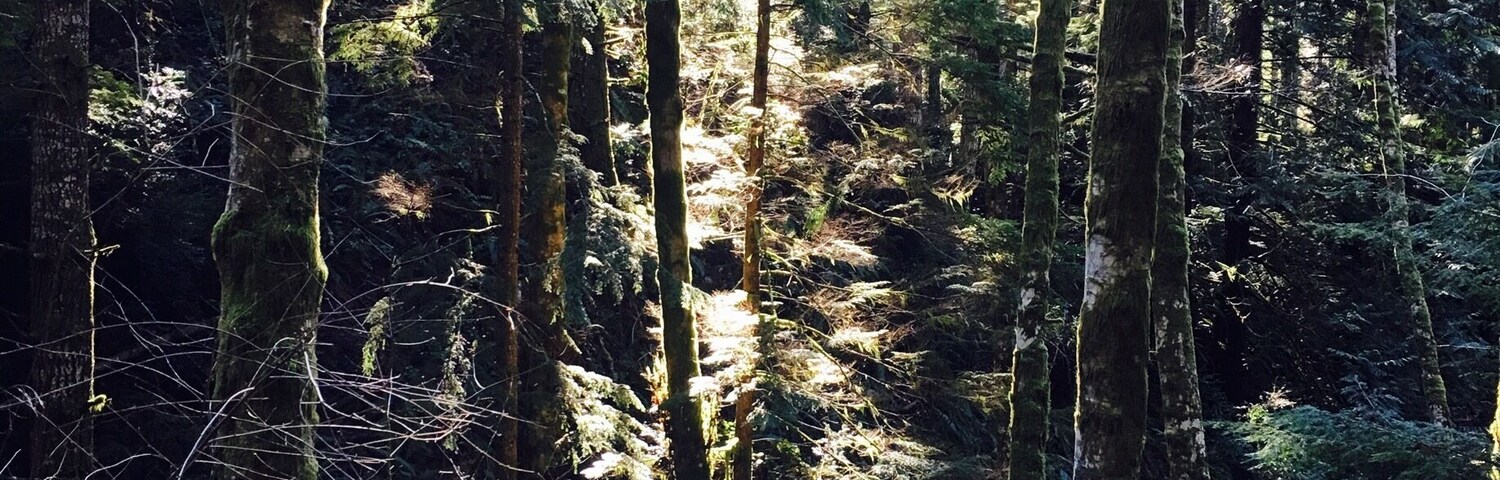 Always a beautiful walk here.