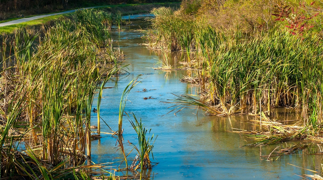 Sentier du Chemin de Halage du Canal Ohio et Erie