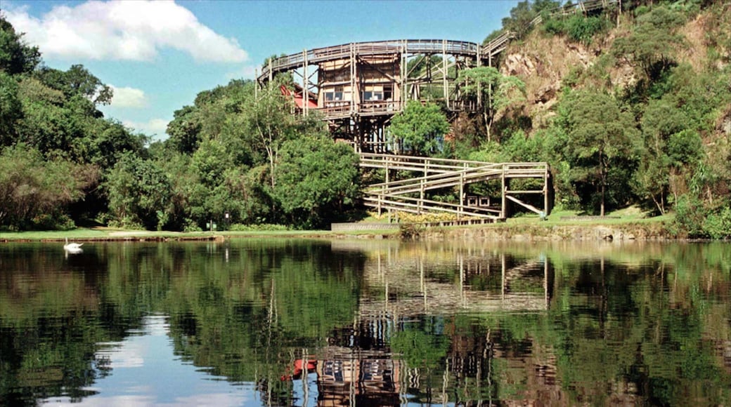 Curitiba inclusief een meer of poel en bossen