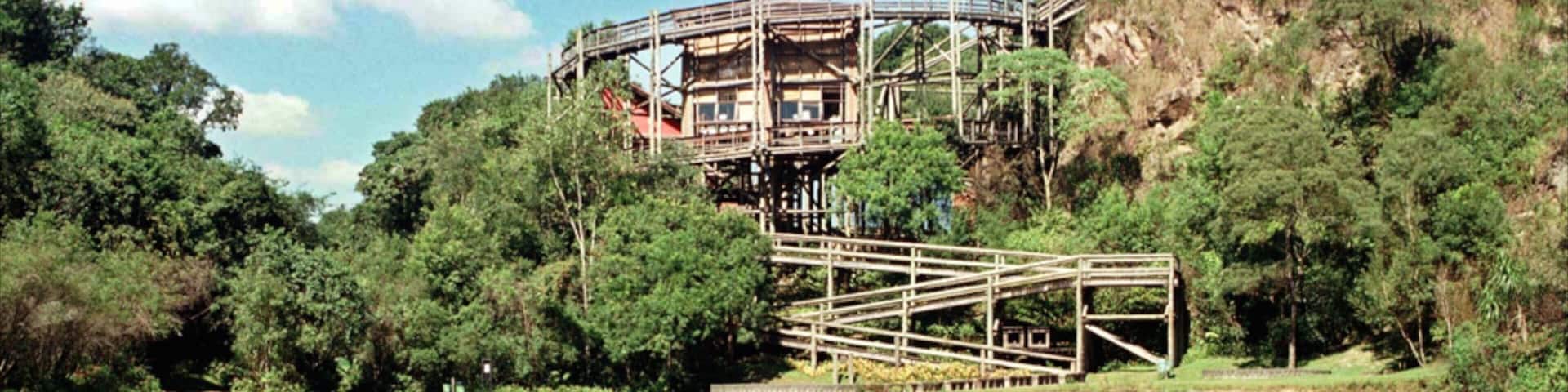 A wooden observation tower with a spiral staircase, surrounded by lush greenery and a calm lake.