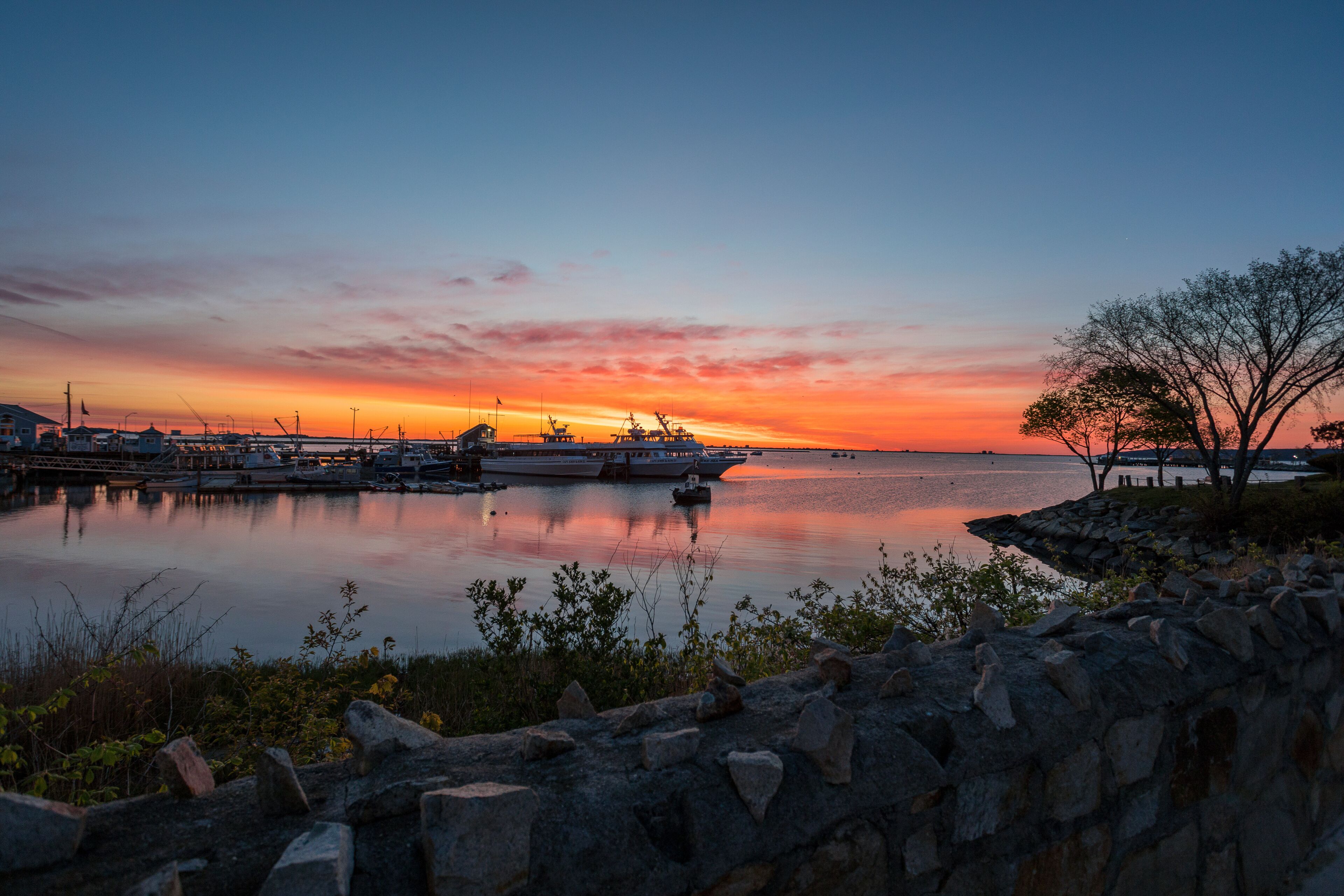 A sunset over a calm harbor with boats, a stone wall, and a tree.