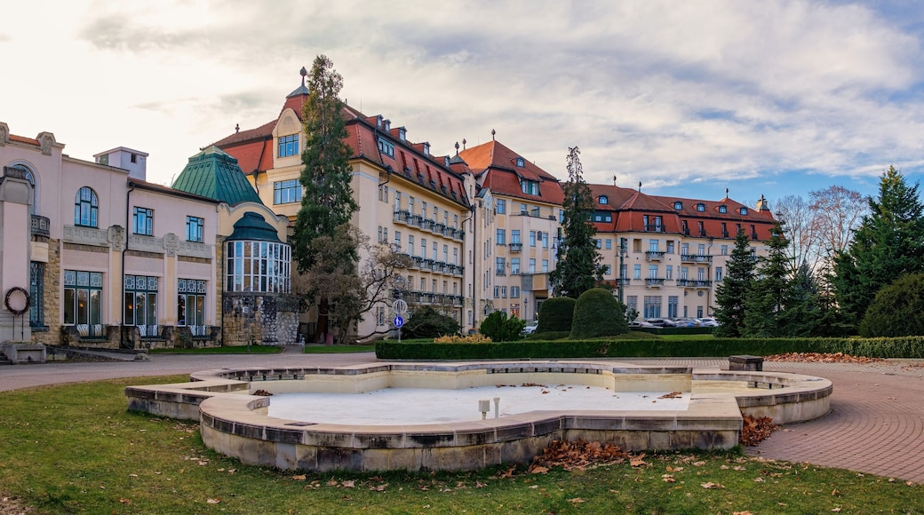 Piestany the Spa Island. Thermal springs with healing water, treatment of the musculoskeletal system, health balneotherapy, peloid, heat therapy. Europe, Slovakia