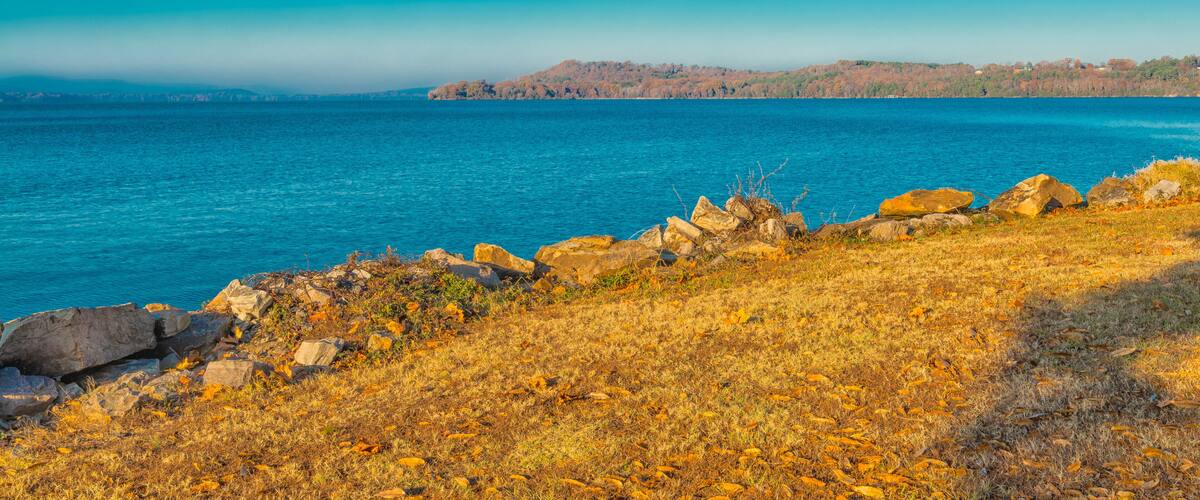 A coastal landscape with rocky shoreline, grassy terrain, and a distant hill with trees.