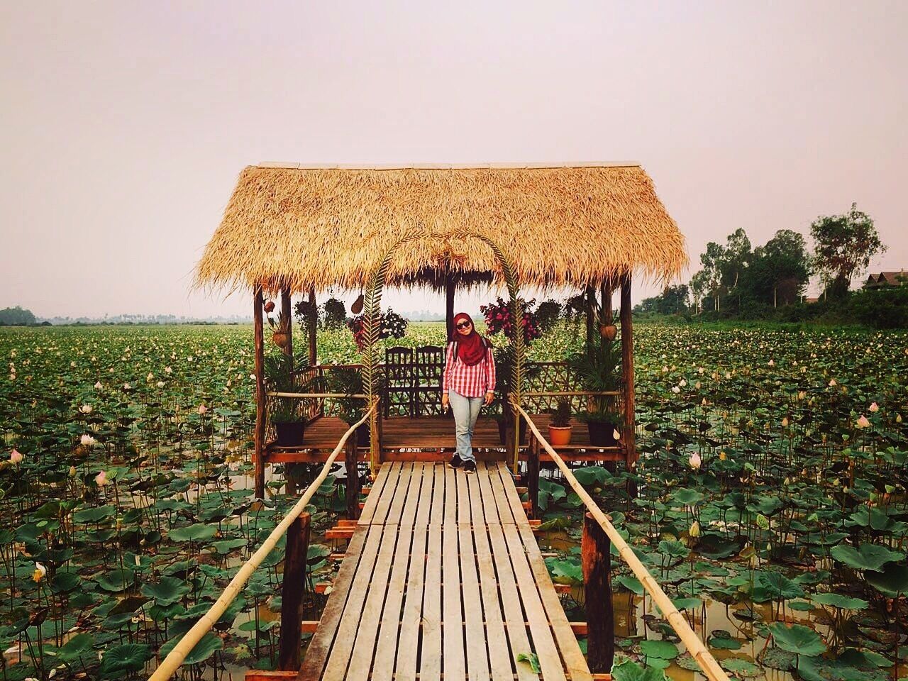 Our tuk tuk driver show us this lotus farm.. Have to pay 4000dong per pax
