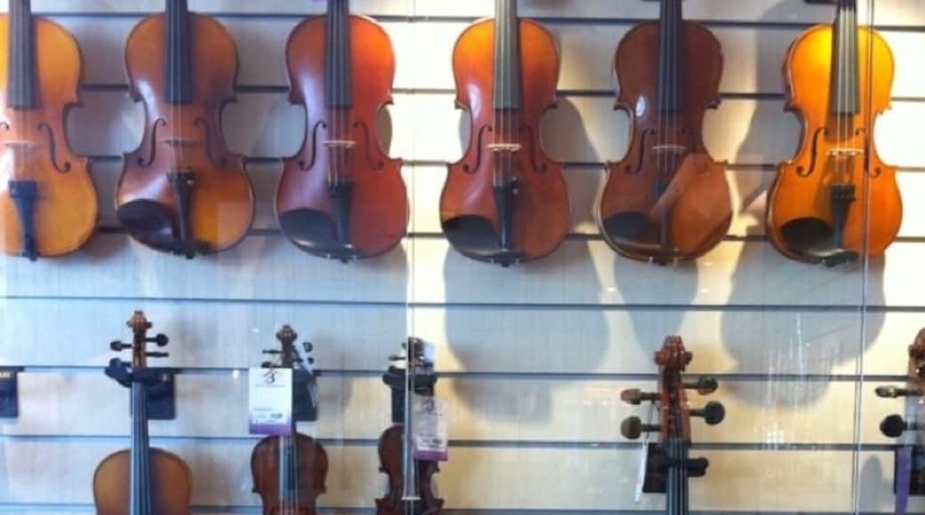 Cute little violin...