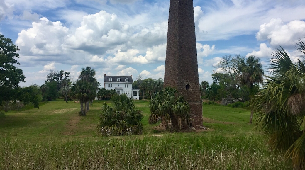 Dating to the 1790's this was the home of Major Pierce Butler, an Officer of the American Revolution and one of the men who drafted the US Constitution. It was a thriving rice plantation until the end of the Civil War. . The house that is visible behind the rice mill chimney was built in 1927 by Colonel TL Huston. He was Half owner of the NY Yankees and hosted many professional ball players here, including Babe Ruth. The entire island is now part of the Altamaha Waterfowl Management Area.