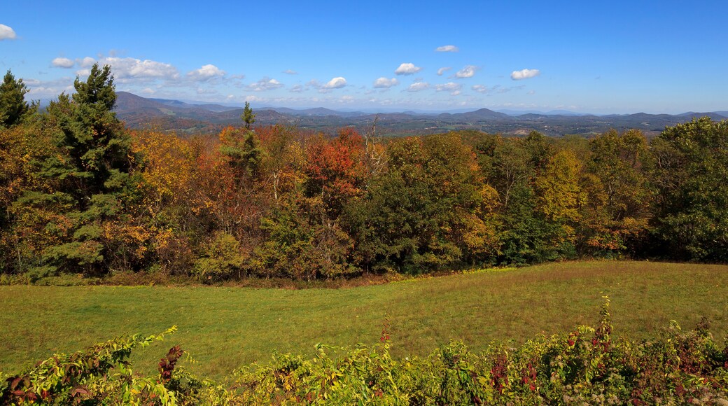 Mount Jefferson Overlook from the Blue Ridge Parkway
