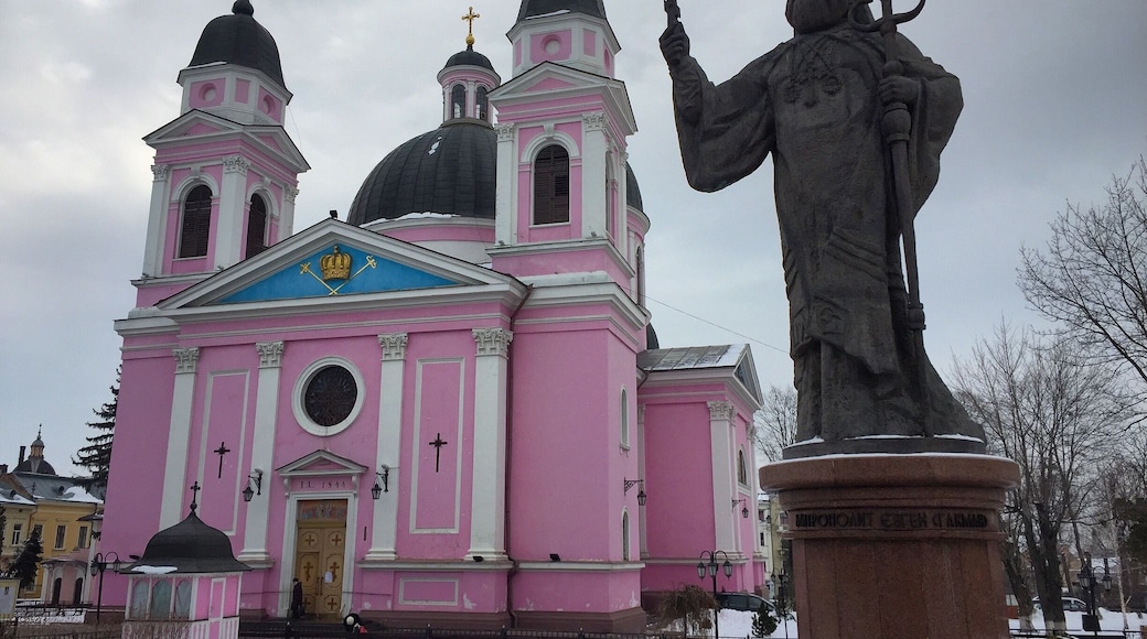 I can't help but wonder why they chose pepto pink as the exterior colour.