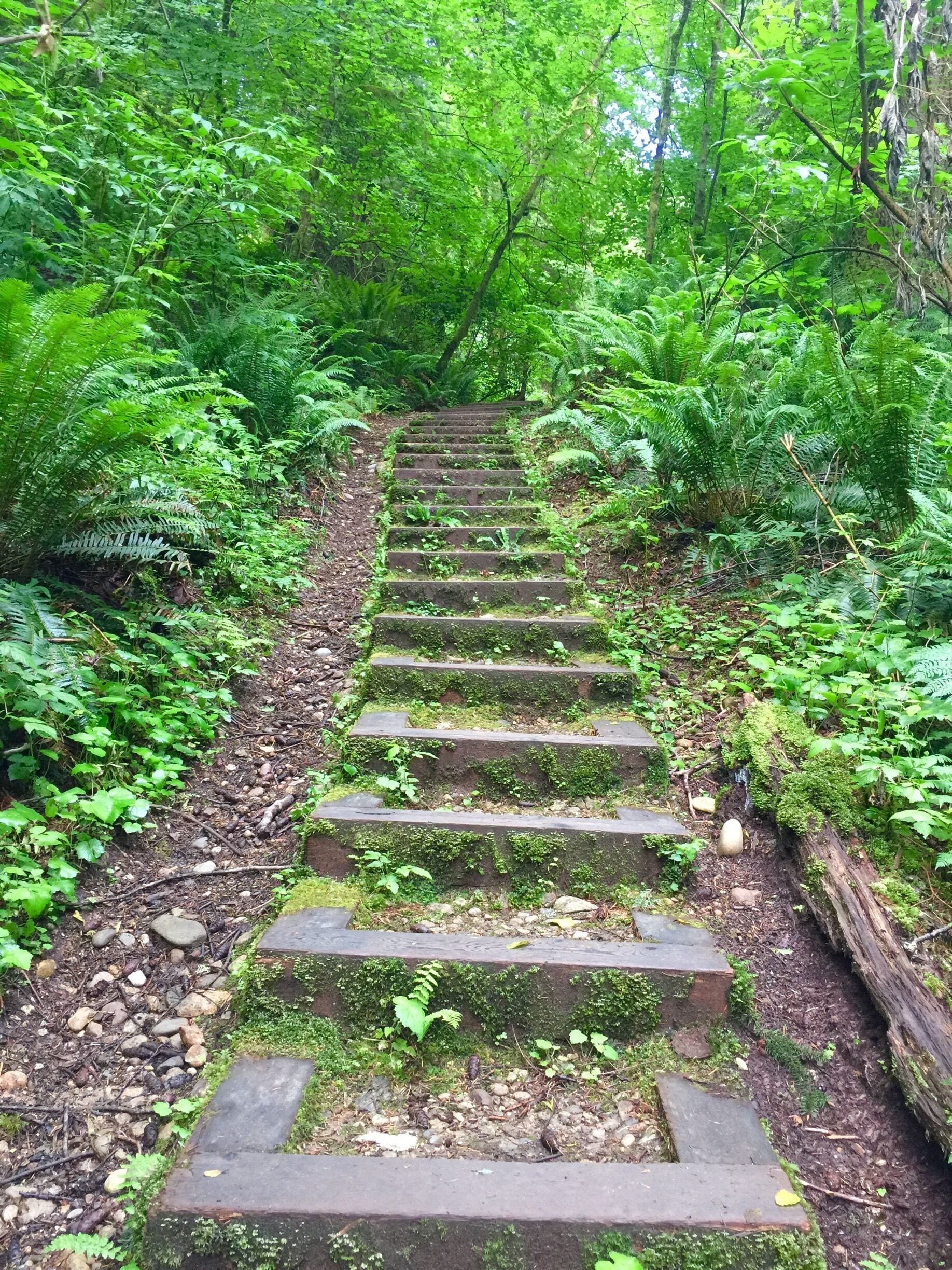 #TakeAHike!
Velodrome Trail