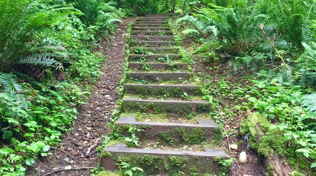 #TakeAHike!
Velodrome Trail