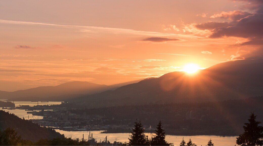 Catching the last rays of sunlight on top of Burnaby Mountain.
#Golden