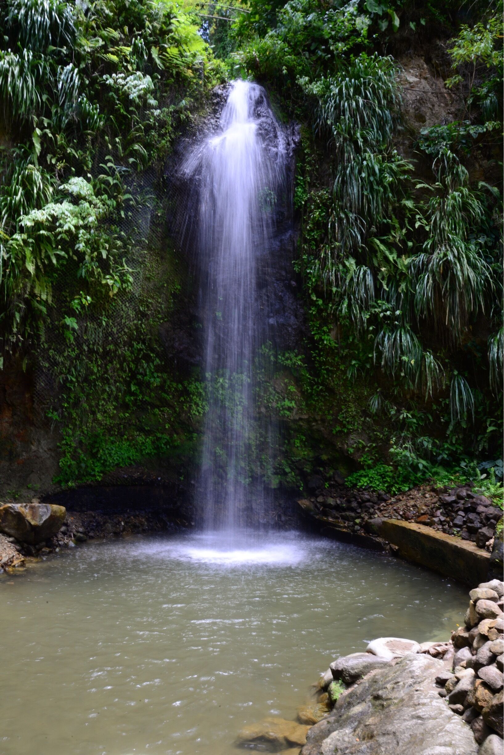 Une cascade se jetant dans un bassin, le tout entouré d’une végétation luxuriante.