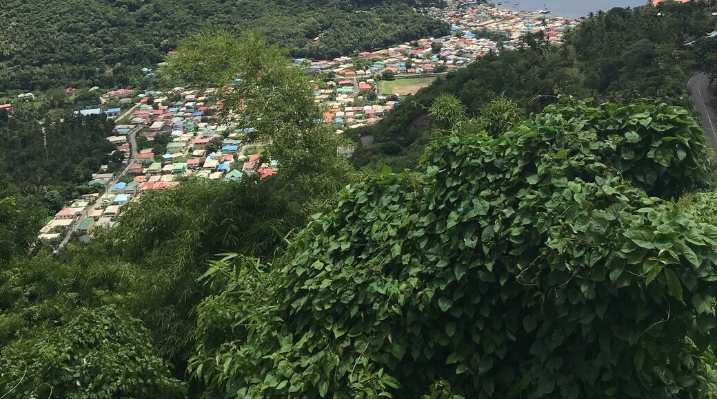 #soufrieresaintlucia