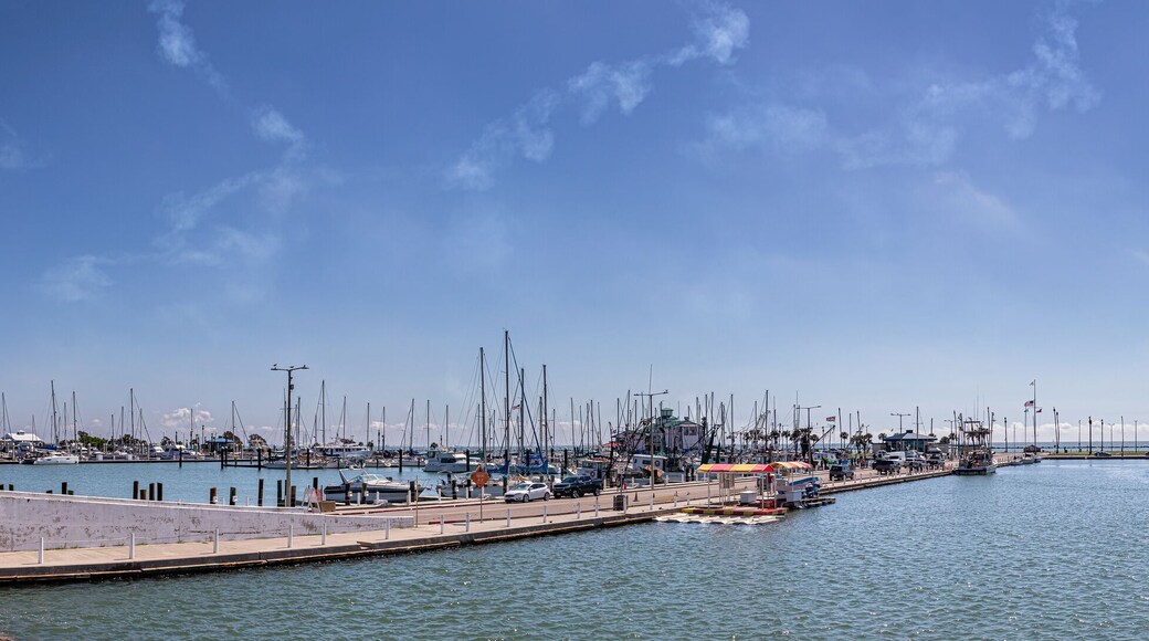 Corpus Christi Harbor