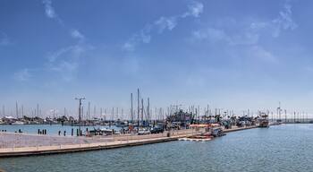 Corpus Christi Harbor