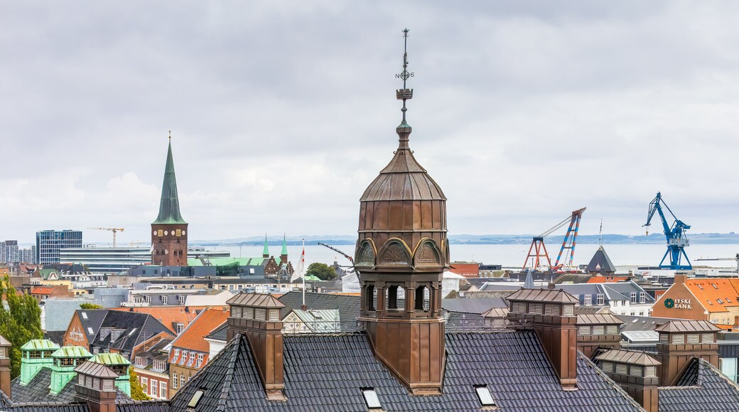Skyline of Aarhus, Denmark, with the copper-topped towers and spire of historic buildings set against a backdrop of cranes, the waterfront, and a cloudy sky