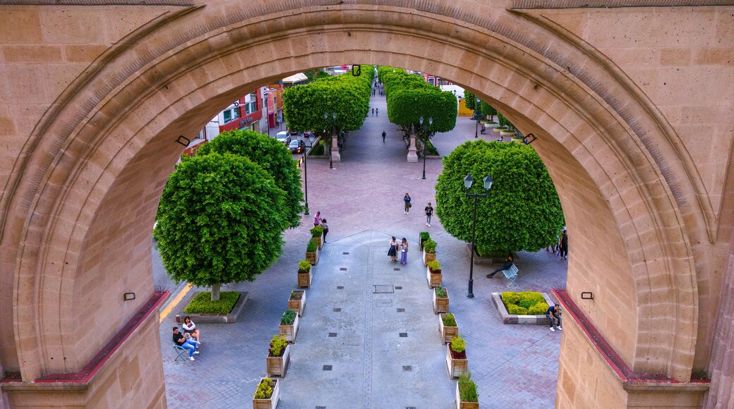 อาร์บิเด